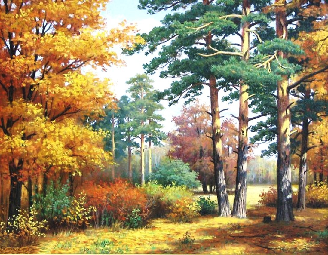 Пришла осень - природа, осень, лес - оригинал