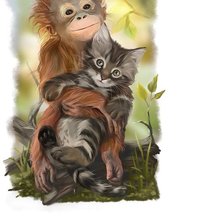 Схема вышивки «№1814068»