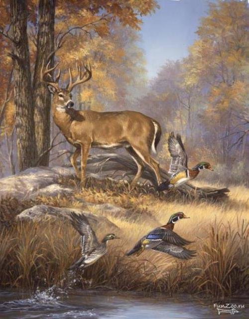 Лесной царь - утки, птицы, осень, олень, охота, природа, лес - оригинал