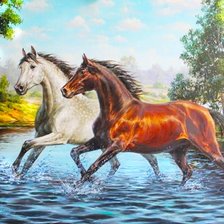 Схема вышивки «Пара лошадей»