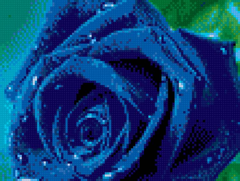 голубая роза - роза, цветы - предпросмотр