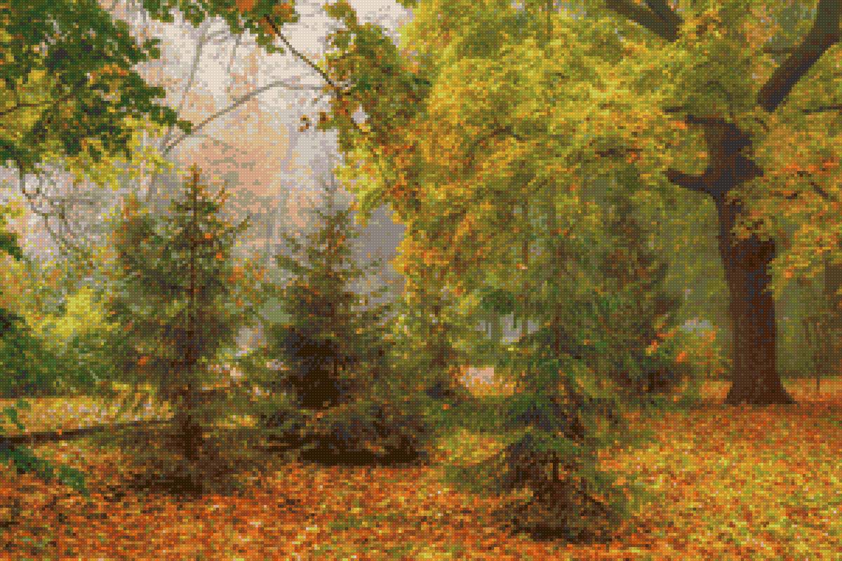 №1814198 - лес, пейзаж осень, елки, природа - предпросмотр