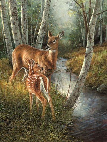 На водопое - природа, олень, река, березы, животные, пейзаж, лес - оригинал