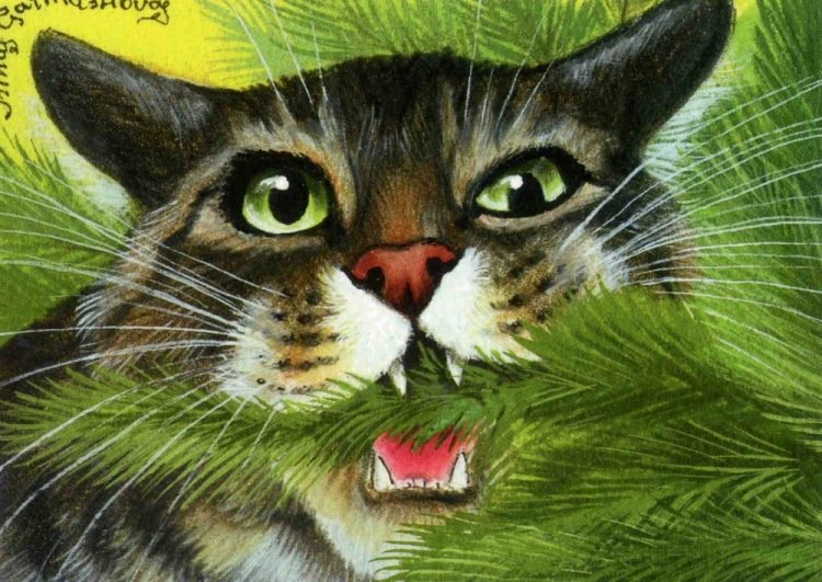 котик - оригинал