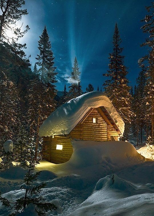 Зимний лес - свет, снег, ночь, избушка, ели - оригинал