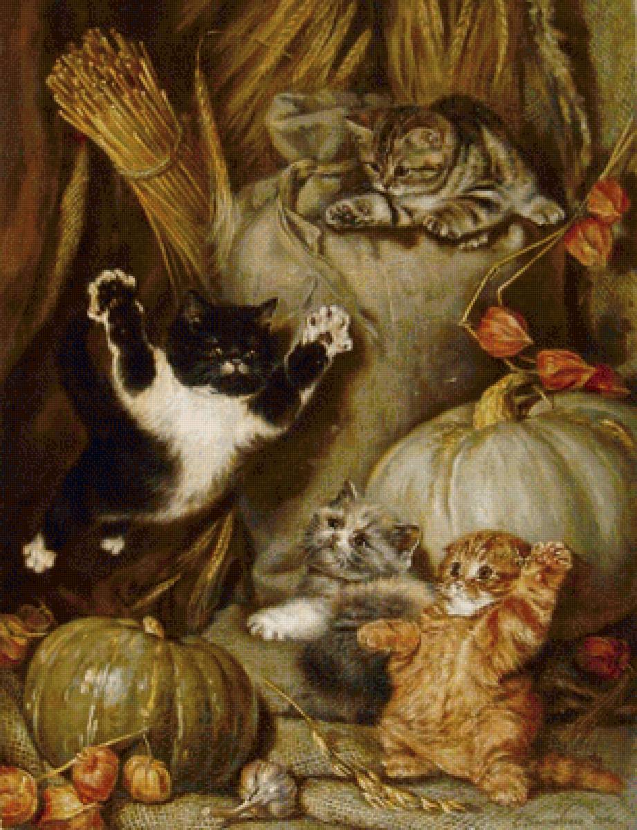 КОШКИ - предпросмотр