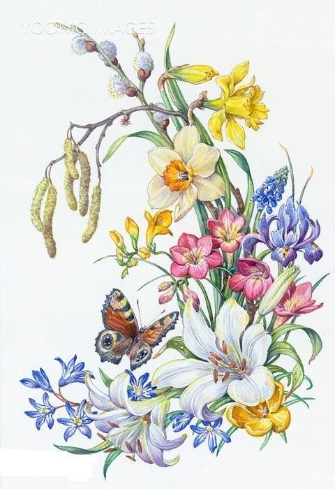 jarné kvety - оригинал