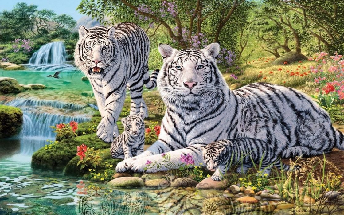 Семья белых тигров - белый тигр, животные - оригинал