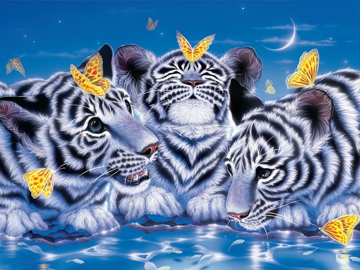Белые тигры и бабочки - белые тигры, бабочки, животные - оригинал