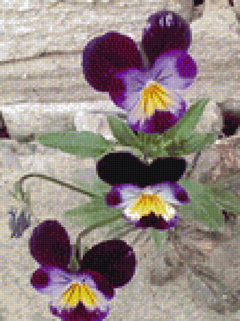 моиЦветы - предпросмотр