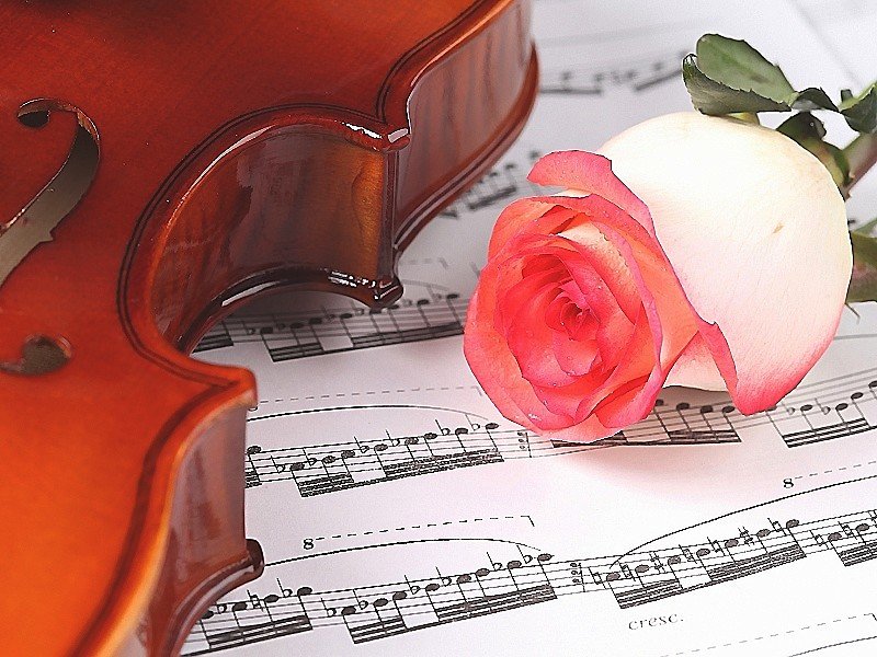 №1817272 - оригинал