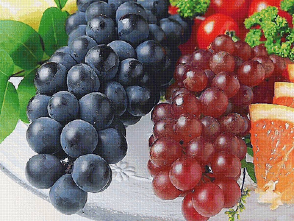 №1817975 - предпросмотр