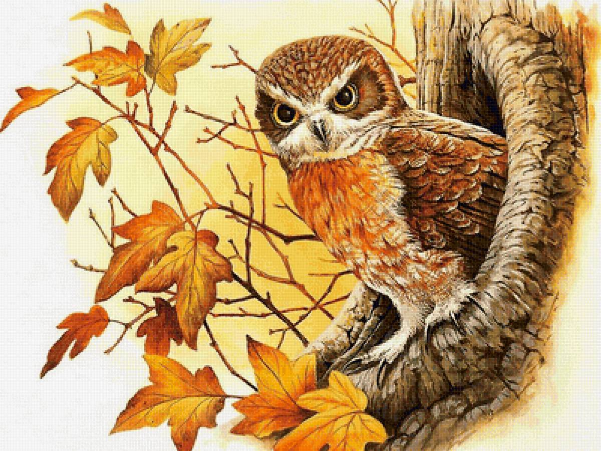сова осенью - предпросмотр