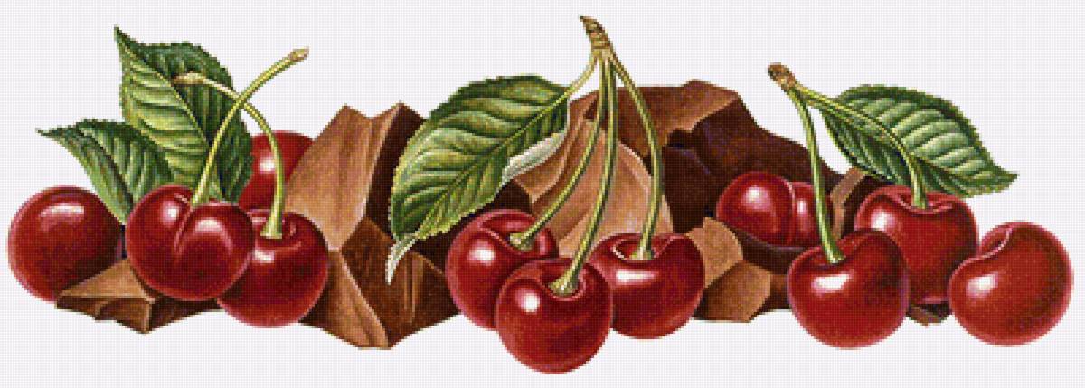 Вишня в шоколаде - шоколад, ягоды, вишня, фрукты - предпросмотр