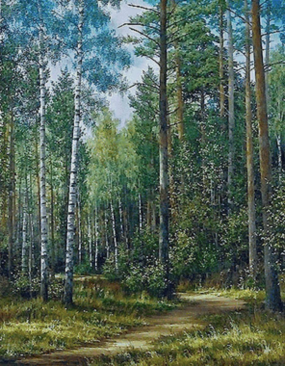 картина - лес, березы - предпросмотр