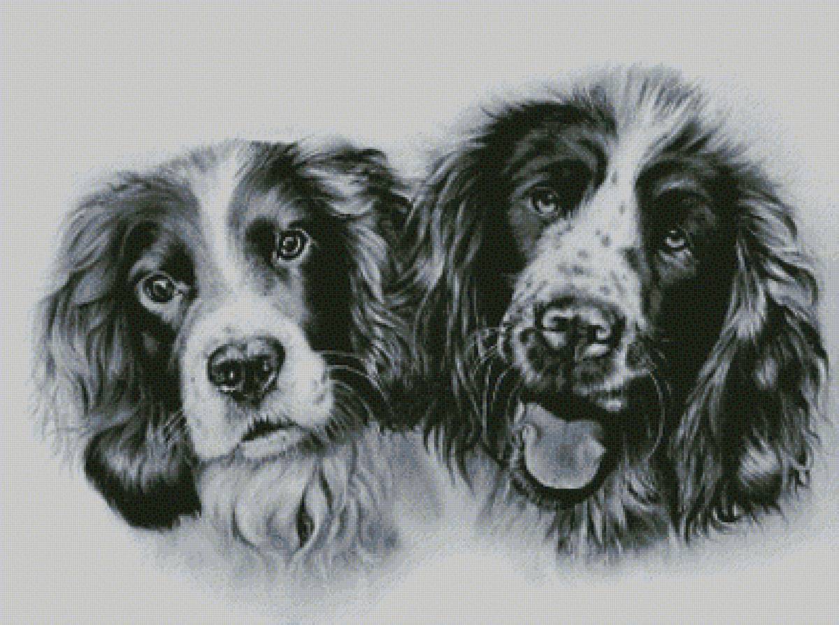 Друзья - предпросмотр