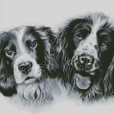 Схема вышивки «Друзья»