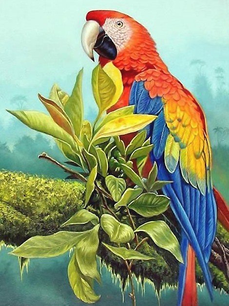 попугай - мир животных - оригинал