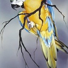 Схема вышивки «попугай»