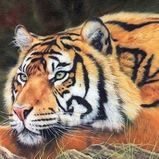 Схема вышивки «№1819970»