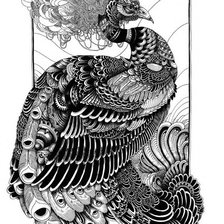 Схема вышивки «павлин»