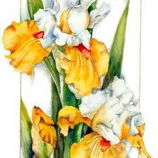 Схема вышивки «Желтые ирисы»