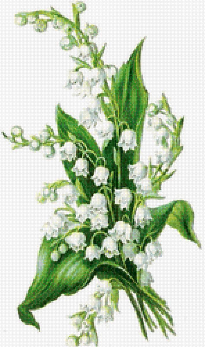 ландыши - ландыши, весна, цветы - предпросмотр