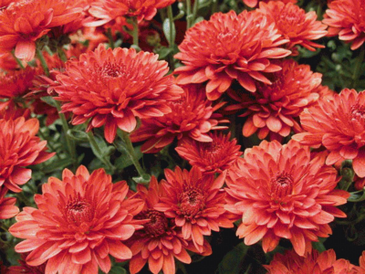 №1821040 - предпросмотр