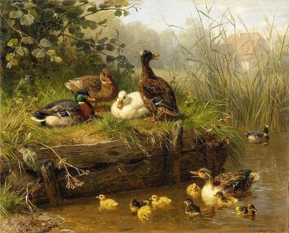 пруд - оригинал