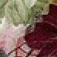 Предпросмотр схемы вышивки «с пионом» (№1821494)
