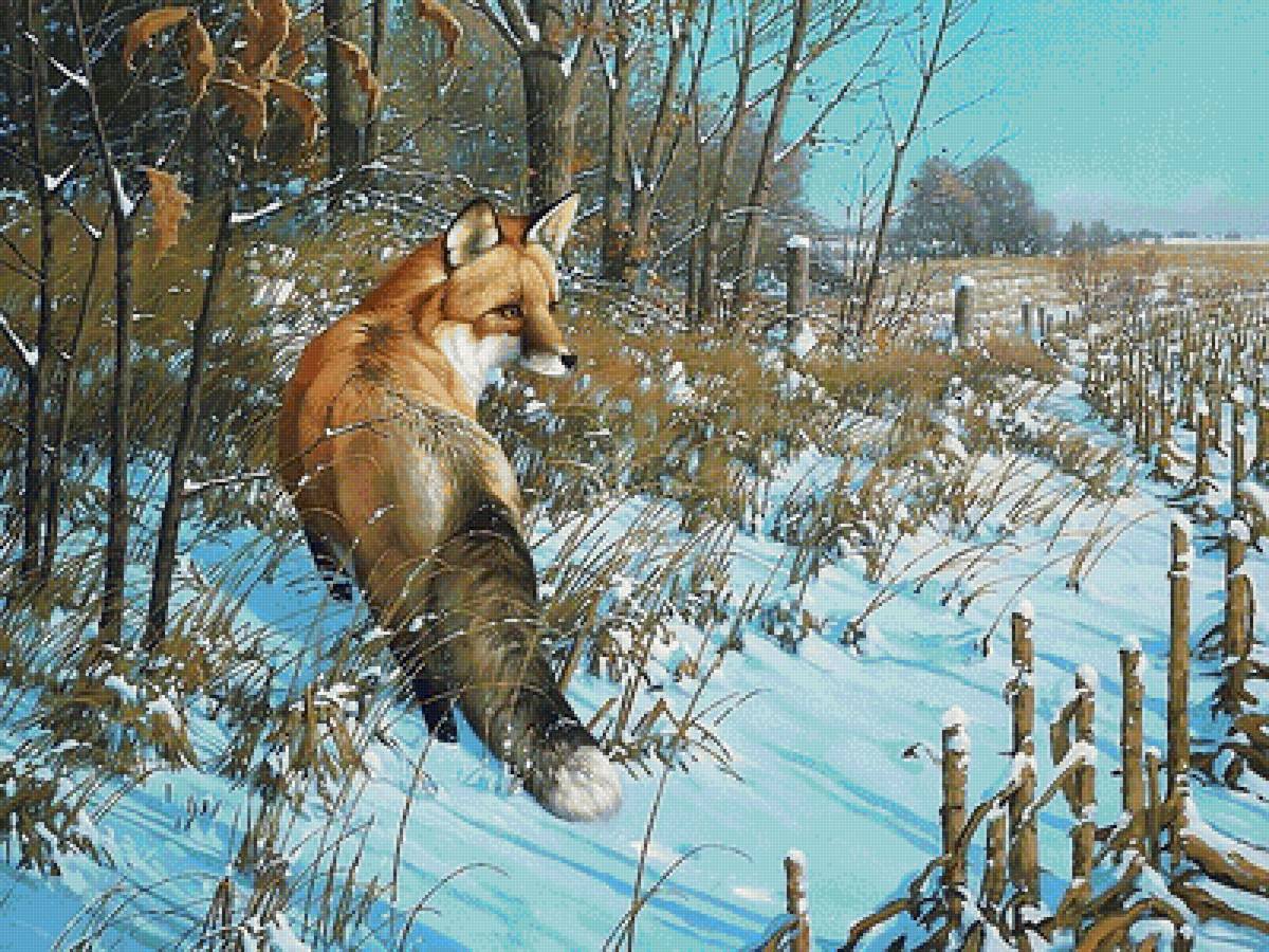 №1821862 - предпросмотр