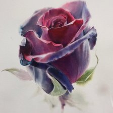 Схема вышивки «Роза»