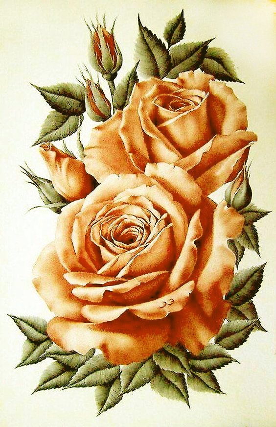 Серия "Розы". - флора, цветы, розы - оригинал