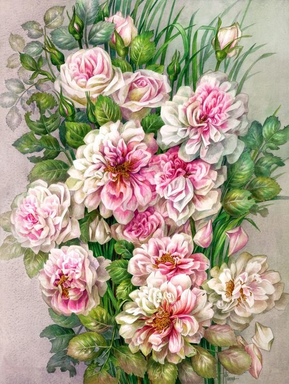 РОЗЫ - розы - оригинал