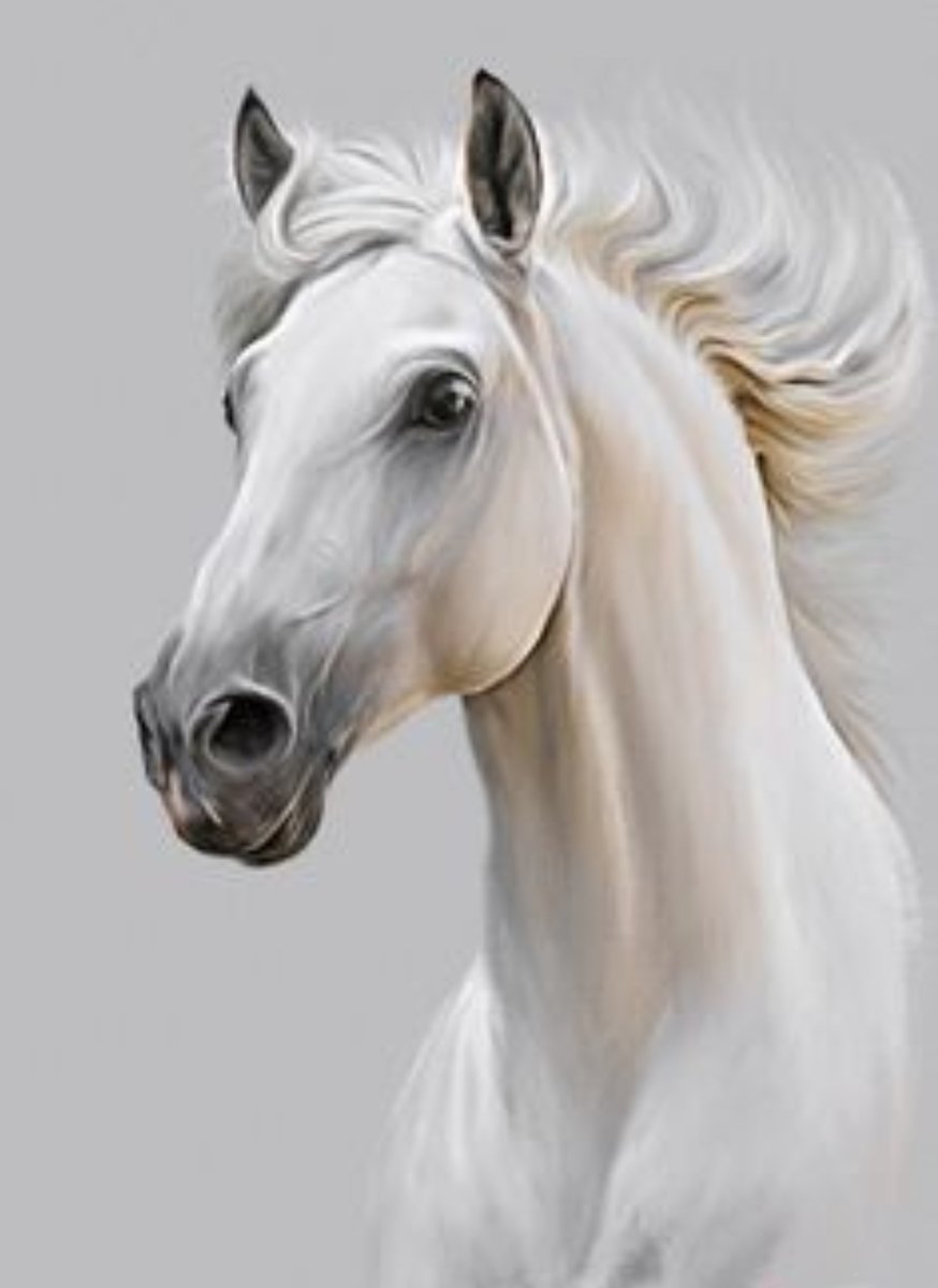 Белый конь - животные, акварель - оригинал