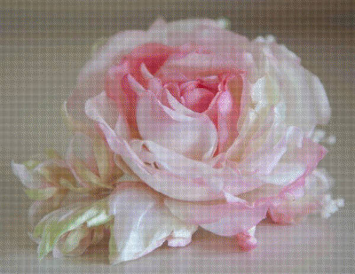 РОЗА - розы - предпросмотр