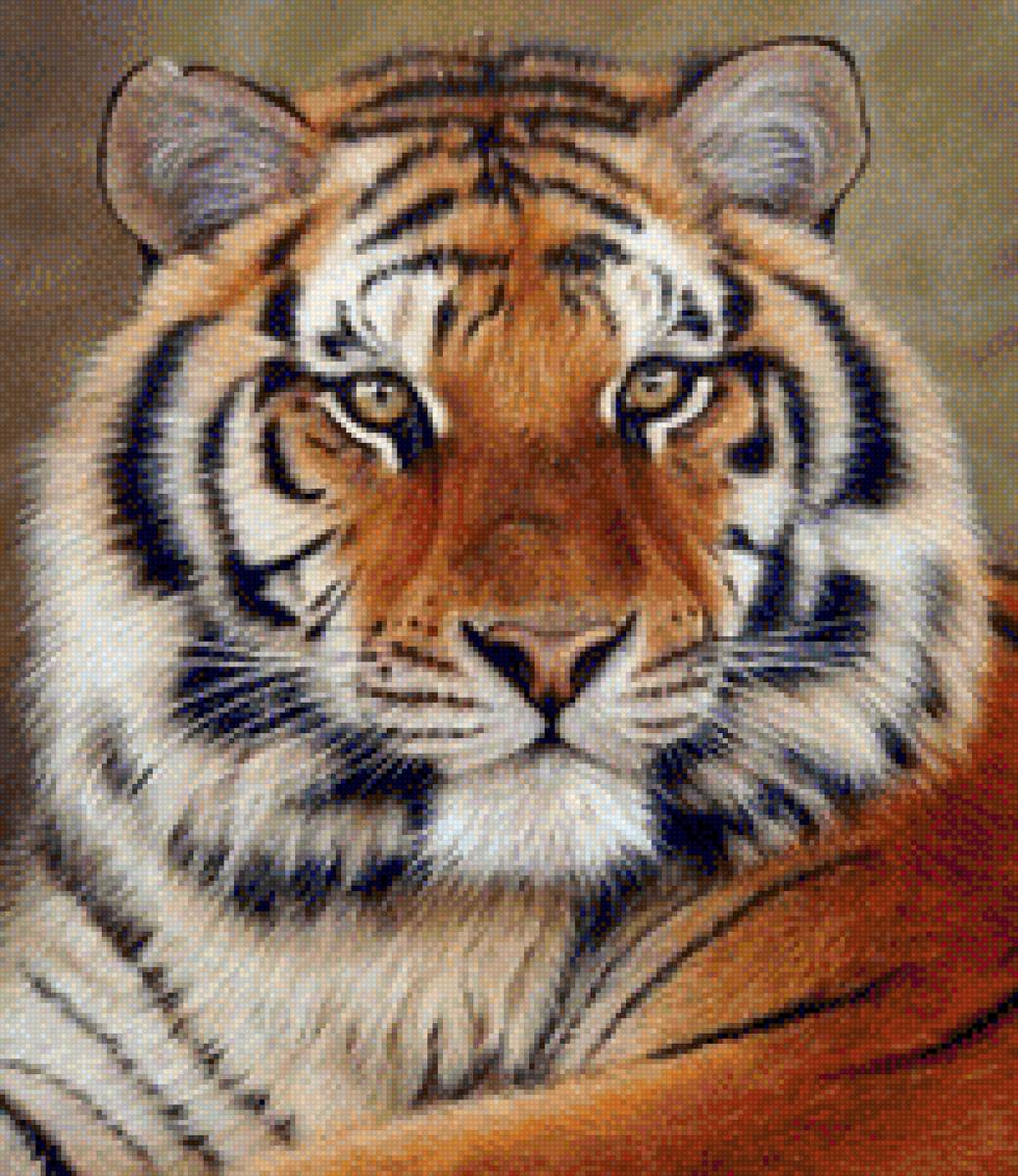 тигр - предпросмотр