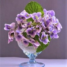 Схема вышивки «ФИАЛKИ»