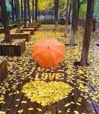 Схема вышивки «№1822427»