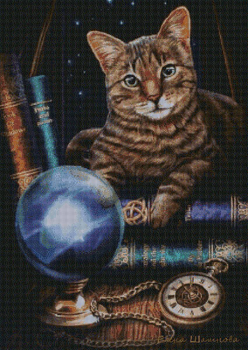 №1822681 - кошка, книги, магия, кот - предпросмотр
