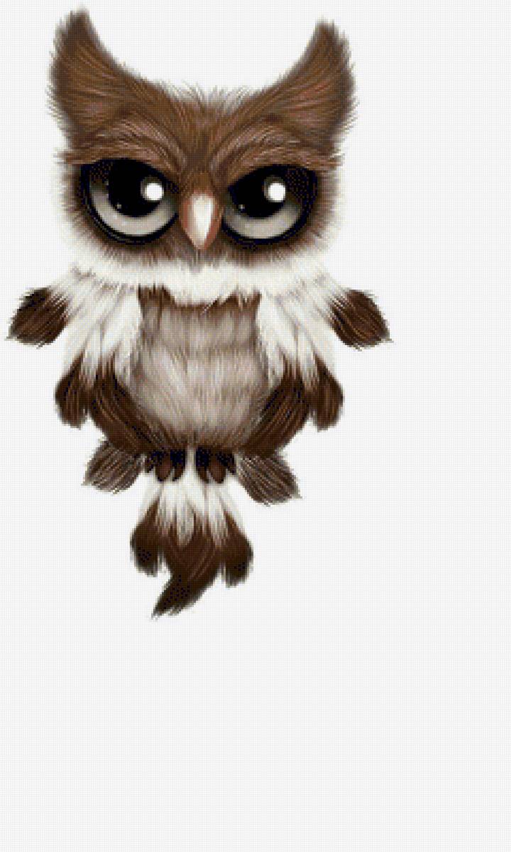 Будущий охотник - сова, филин, птица - предпросмотр