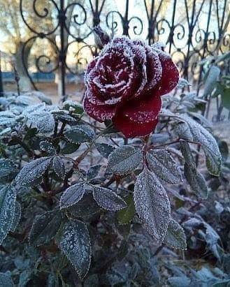 №1822774 - оригинал