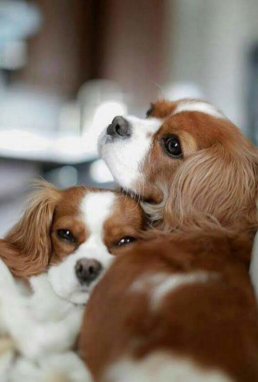 №1822791 - оригинал