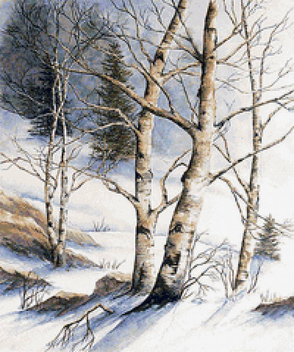 Березы - пейзаж зима, снег, лес, природа - предпросмотр