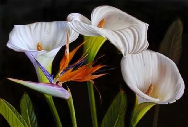 цветы - оригинал