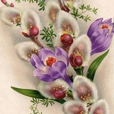 Схема вышивки «цветы»