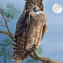 Схема вышивки «сова»