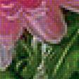 Предпросмотр схемы вышивки «цветы» (№1823288)