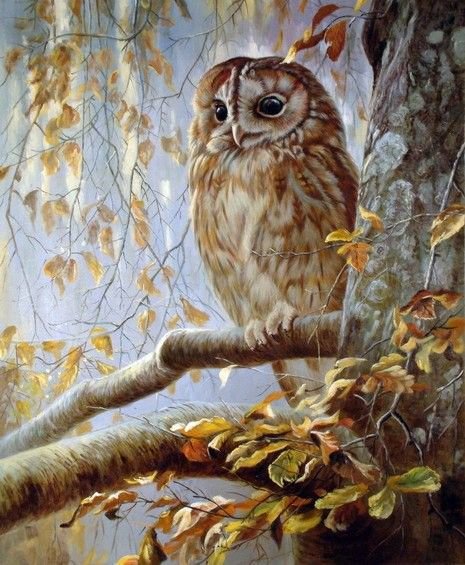 сова - оригинал