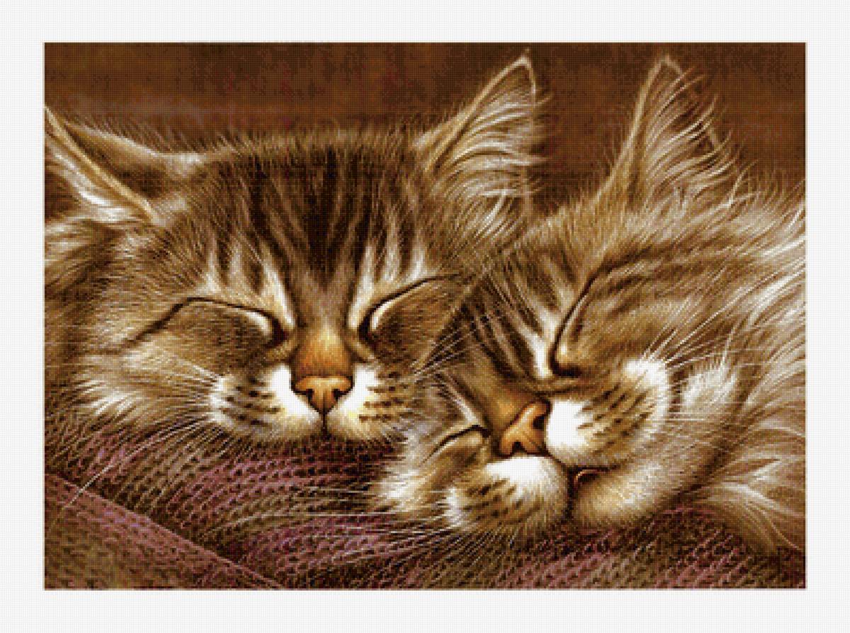 Серия "Коты". - животные, коты - предпросмотр